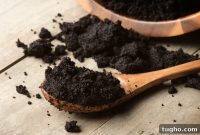 What to Do with Leftover Coffee Grounds: 12 Practical Uses