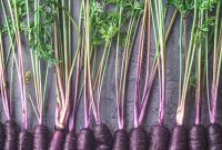 Purple Carrots: The Original Carrot Color Explained