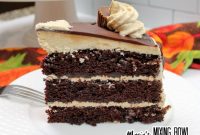 Rich Chocolate Cake with Peanut Butter Frosting