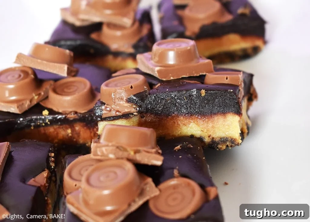 Pieces of caramel and chocolate slice.