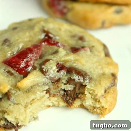 Cherry Garcia Cookies recipe image