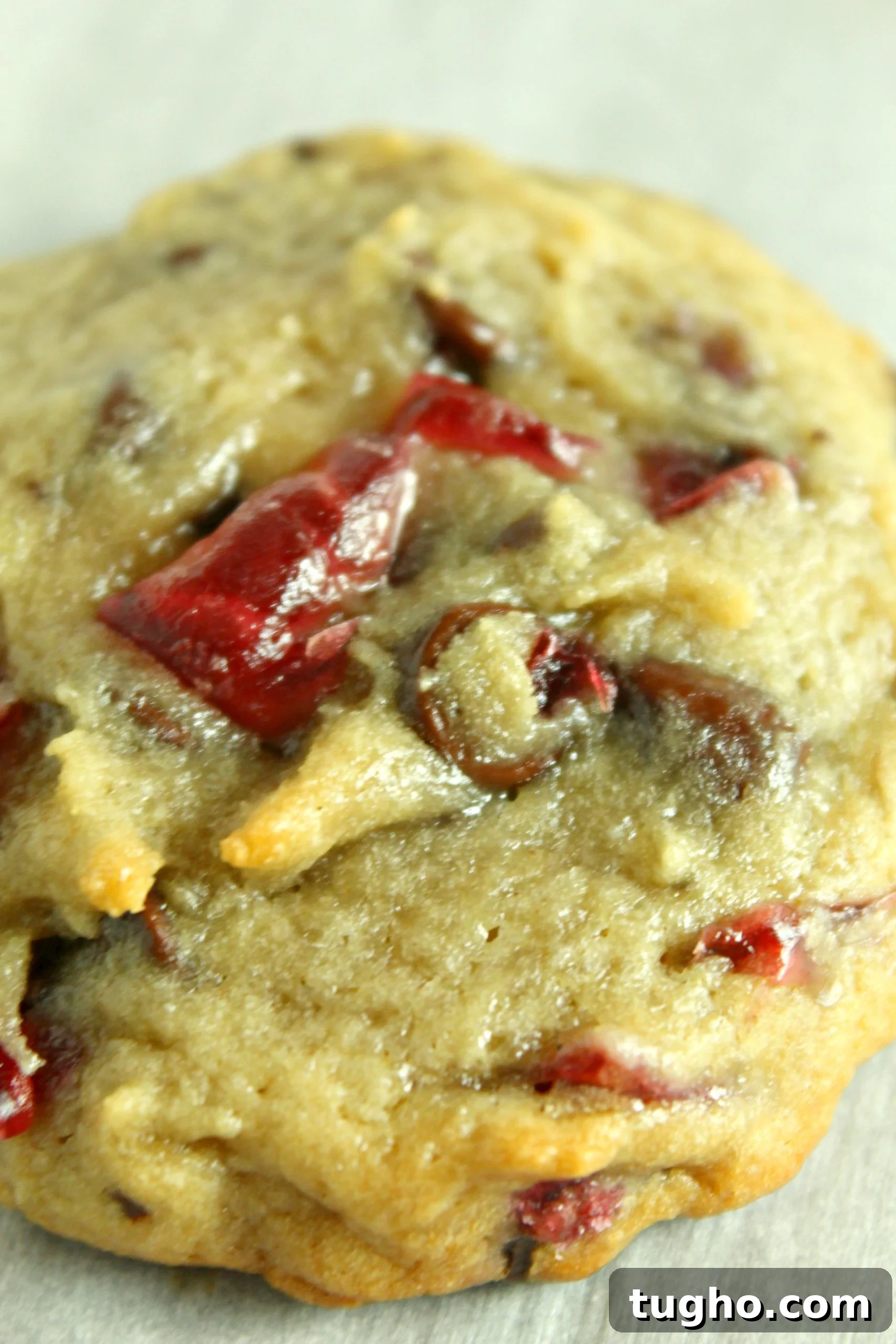 Homemade Cherry Garcia Cookies with Chocolate Chunks 4 Cherry pieces and chocolate chips in dough