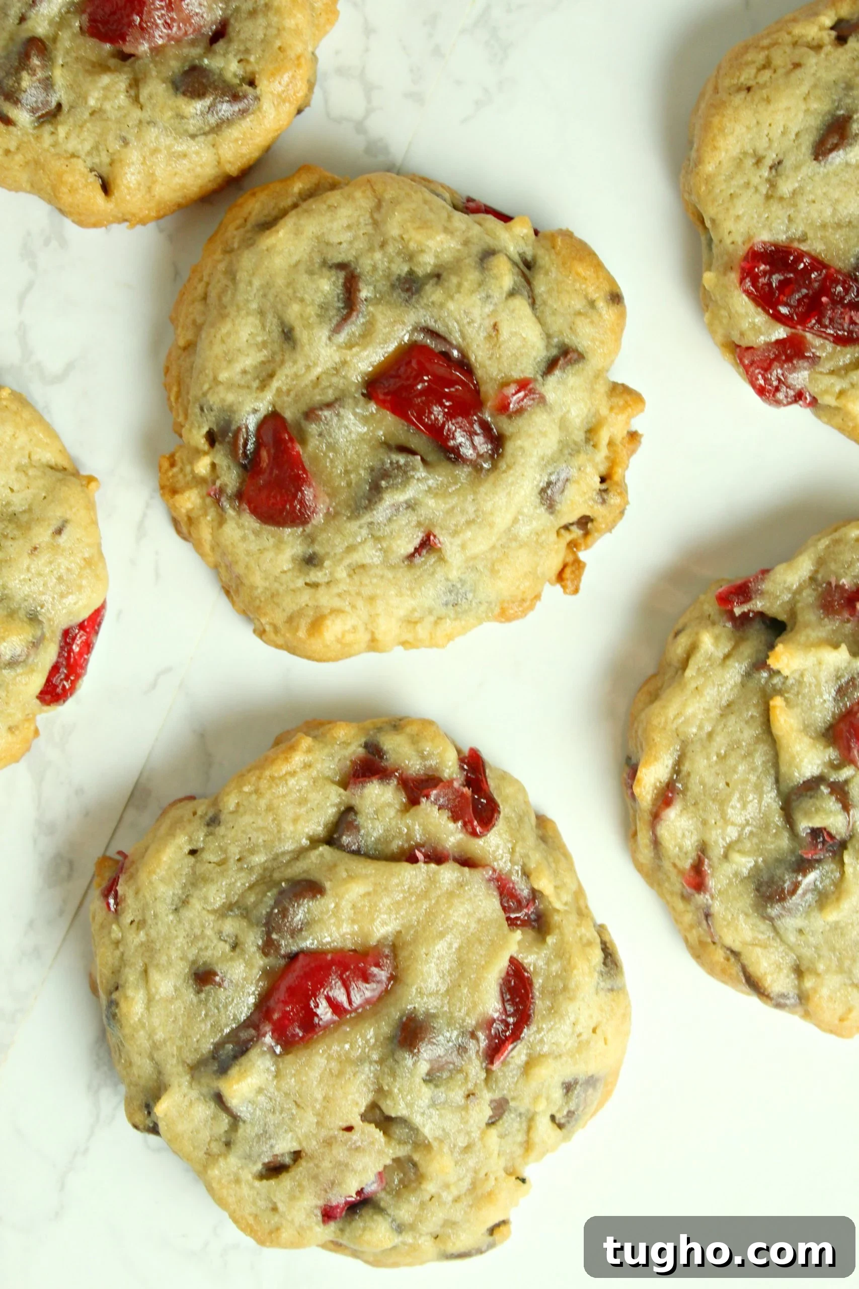 Homemade Cherry Garcia Cookies with Chocolate Chunks 5 Stack of Cherry Garcia Cookies