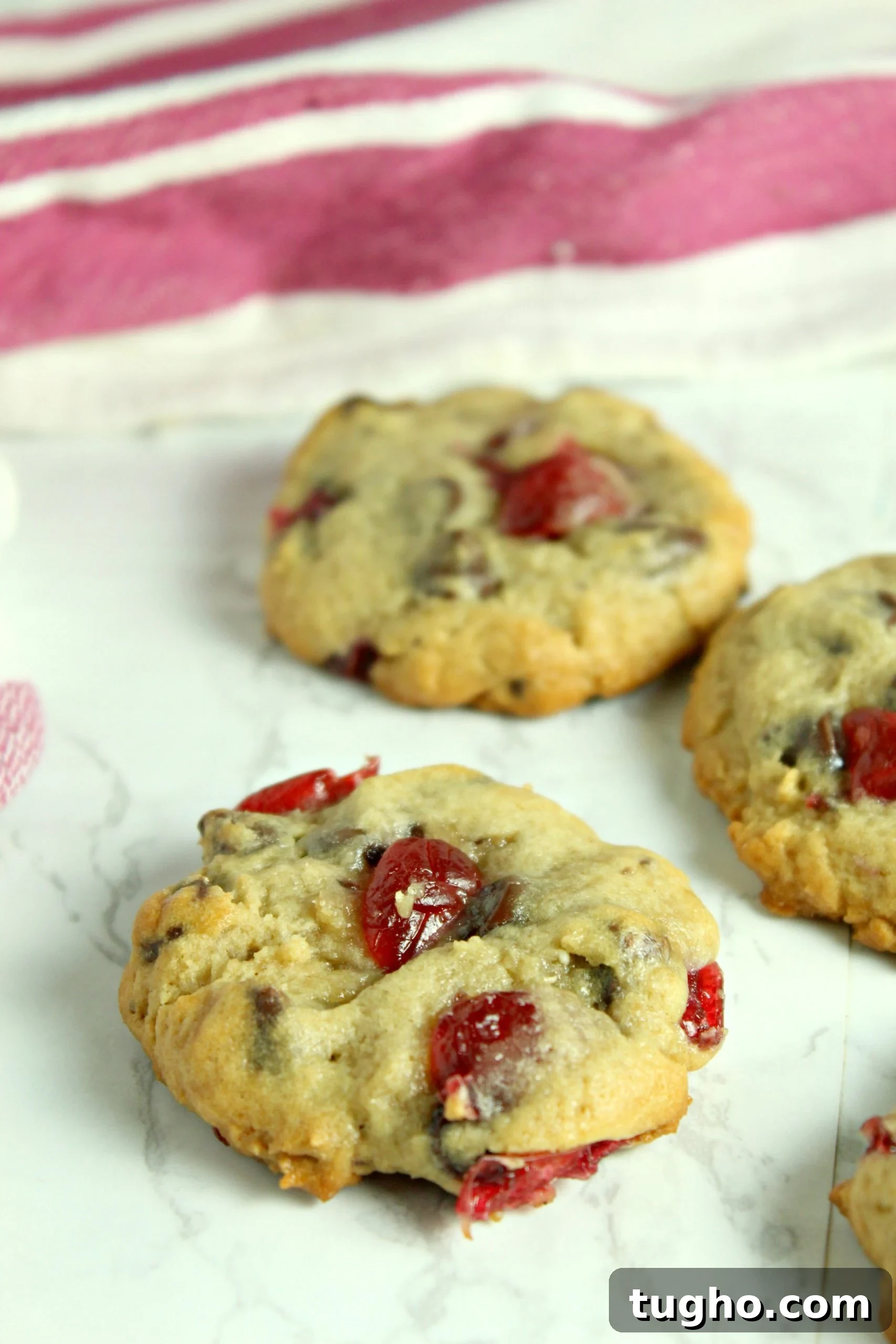Homemade Cherry Garcia Cookies with Chocolate Chunks 6 Cookie dough with chocolate and cherries