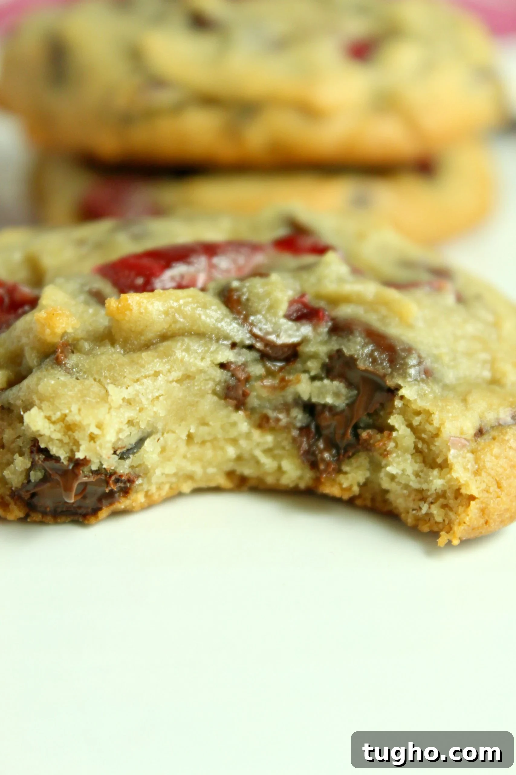Homemade Cherry Garcia Cookies with Chocolate Chunks 9 Cherries and chocolate chips