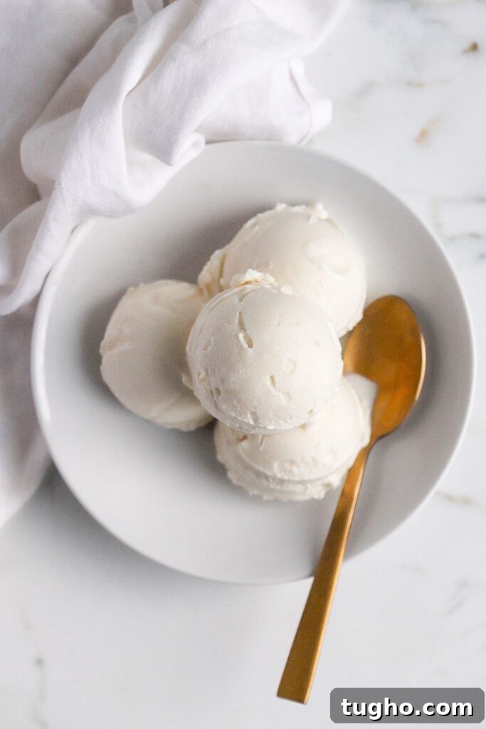 How to Make Vanilla Protein Ice Cream in a Ninja Creami 3 Ninja Creami vanilla protein ice cream in white bowl with gold spoon