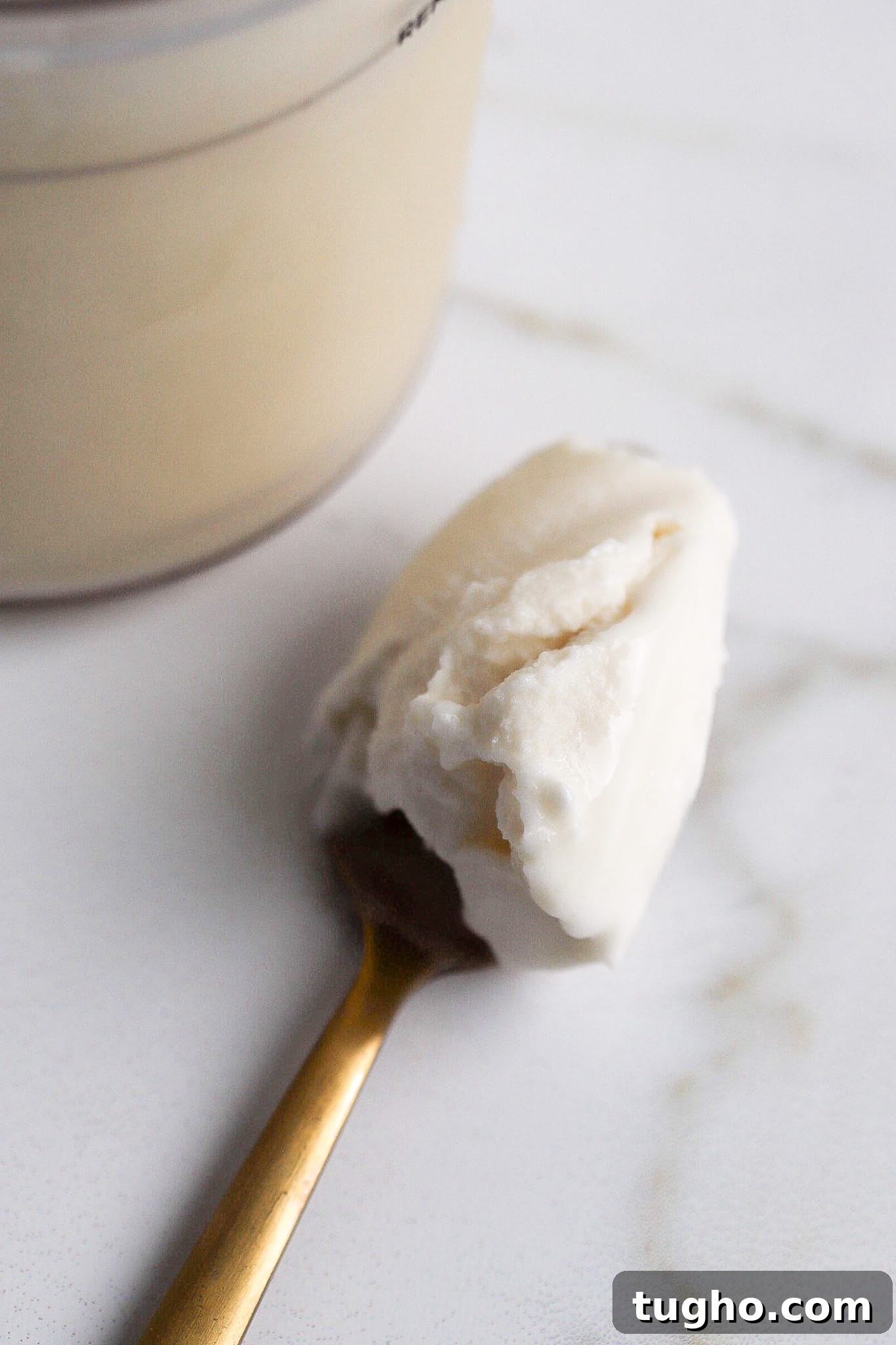 How to Make Vanilla Protein Ice Cream in a Ninja Creami 5 Spoonful of vanilla frozen dessert on gold spoon.
