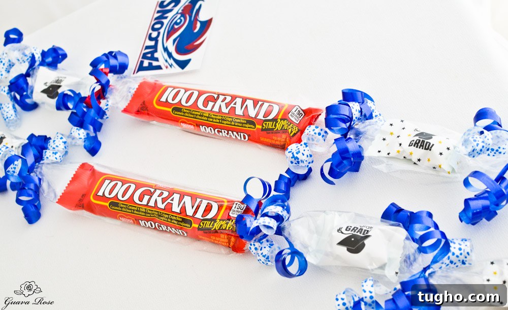 Custom School Spirit Candy Lei with Logo and Mascot 6 Christian Brothers Falcons candy lei