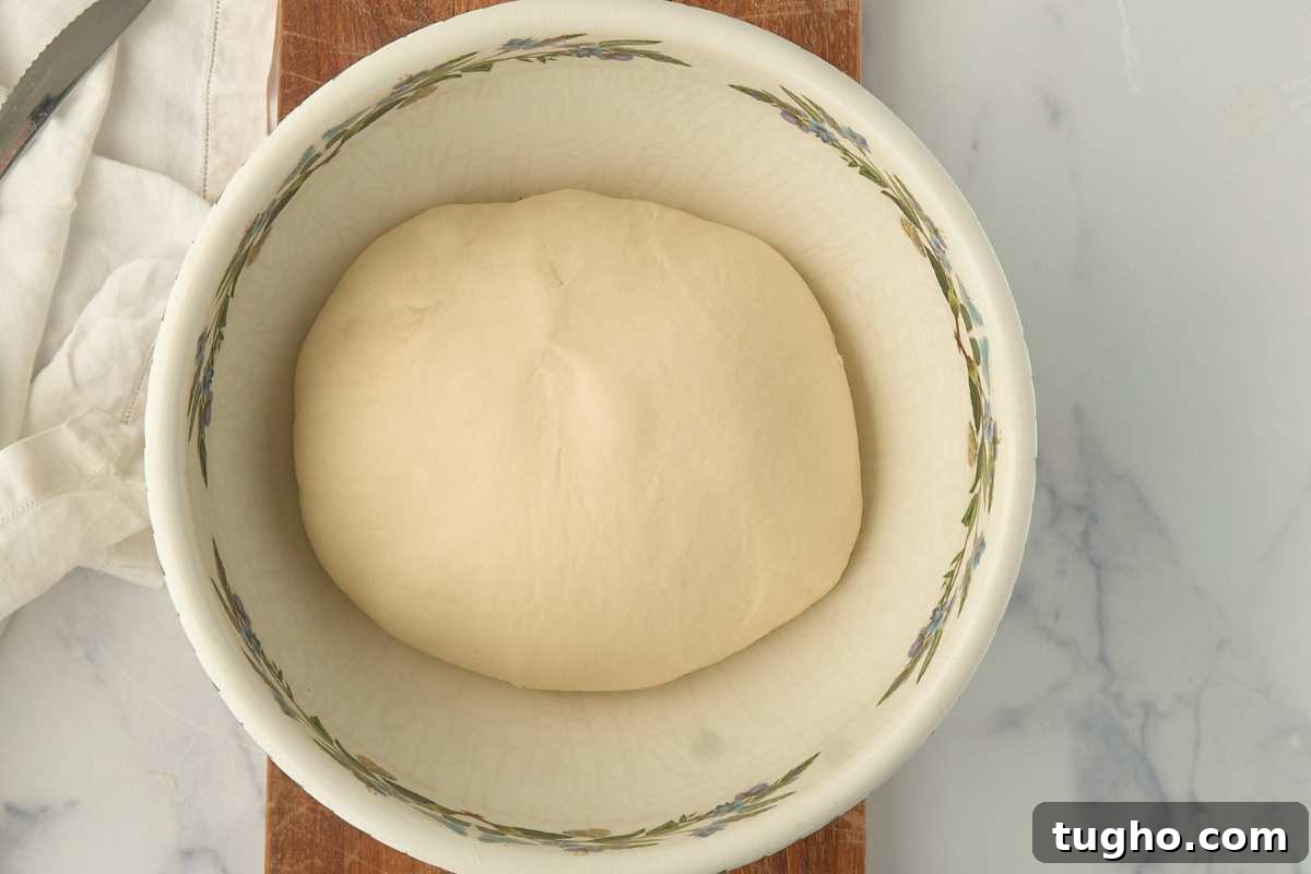 How to Make Crusty Italian Sourdough Rolls 6 Smooth, puffy dough in a bowl
