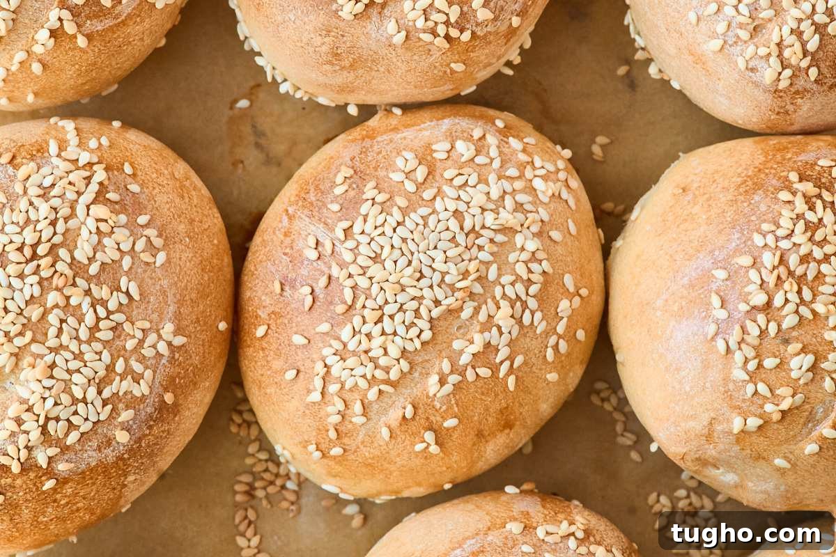 How to Make Crusty Italian Sourdough Rolls 10 Golden brown rolls fresh from the oven