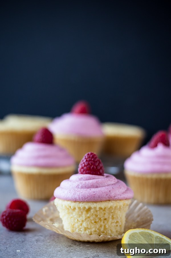 Raspberry Lemonade Cupcakes with Vodka 2 Spiked Raspberry Lemonade Cupcakes