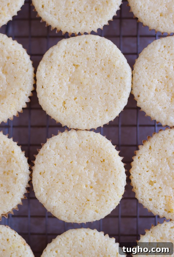 Raspberry Lemonade Cupcakes with Vodka 3 Vanilla Cupcakes