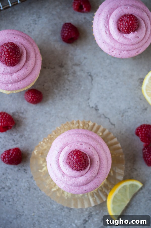 Raspberry Lemonade Cupcakes with Vodka 4 Spiked Raspberry Lemonade Cupcakes