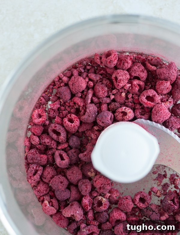 Raspberry Lemonade Cupcakes with Vodka 5 Dried Raspberries in Food Processor