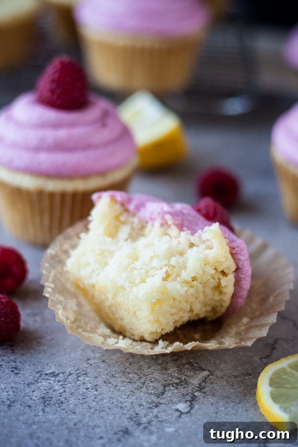 Raspberry Lemonade Cupcakes with Vodka 7 Spiked Raspberry Lemonade Cupcakes