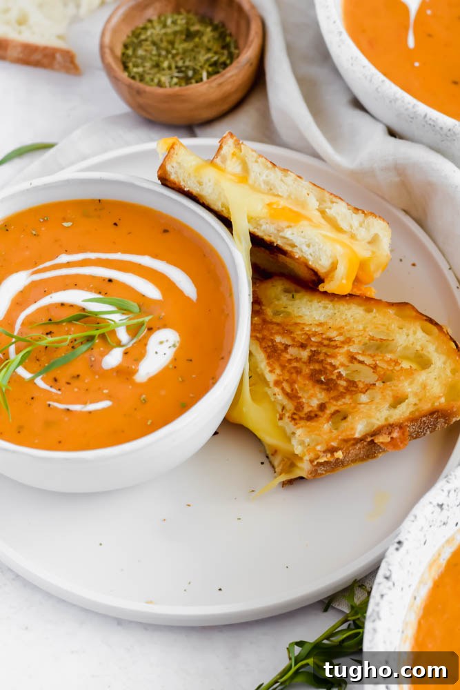bowl of dairy free tomato soup with two pieces of grilled cheese aside it.