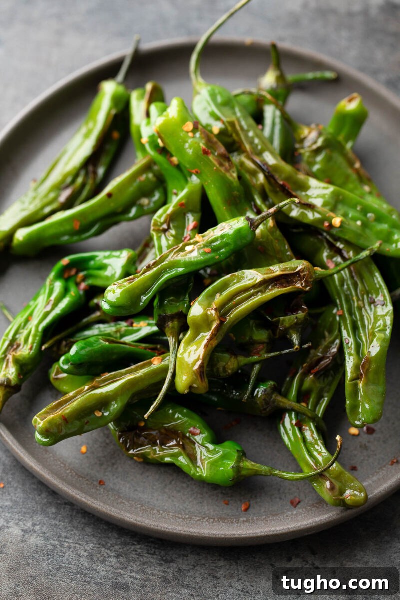 Blistered Shishito Peppers with Spicy Dipping Sauce Recipe 2 Blistered Shishito Peppers with Crushed Red Pepper Flakes