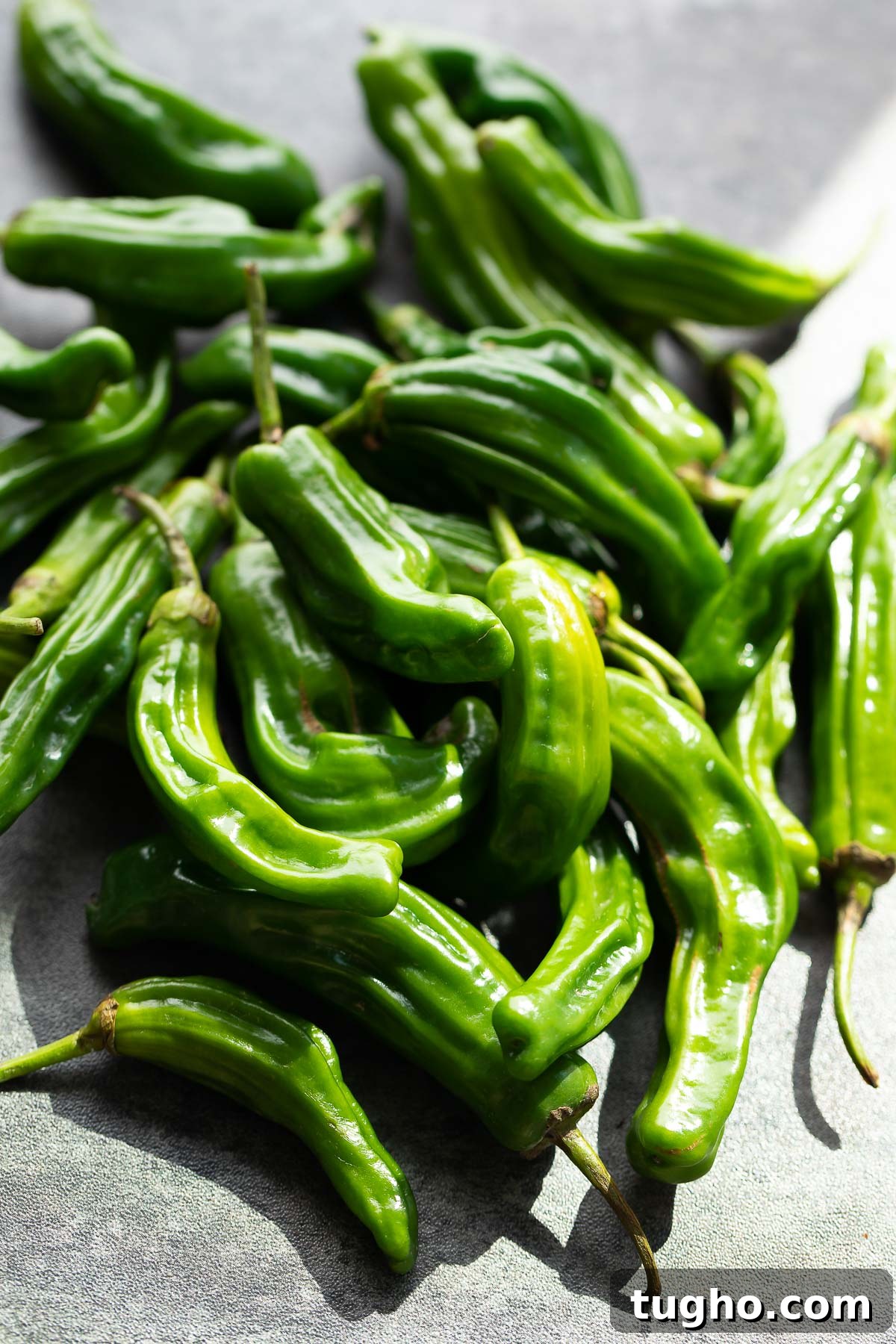 Blistered Shishito Peppers with Spicy Dipping Sauce Recipe 4 Shishito Peppers