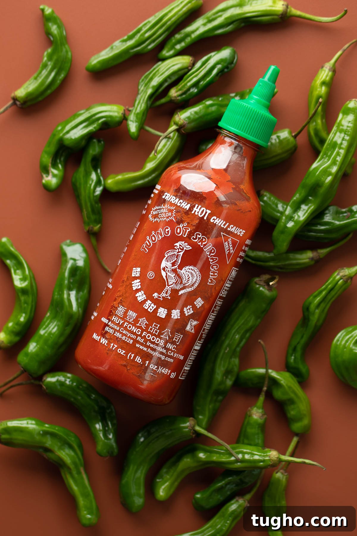 Blistered Shishito Peppers with Spicy Dipping Sauce Recipe 5 img 113327 4