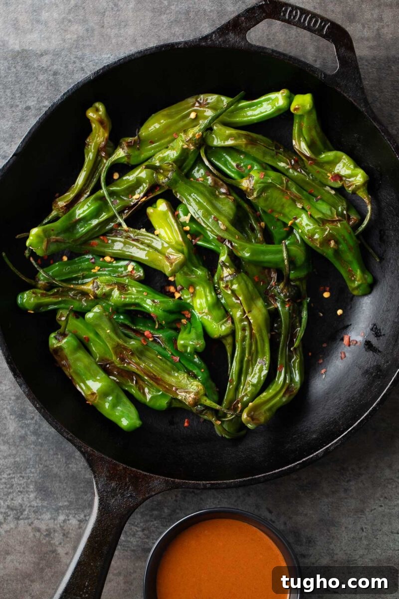 Blistered Shishito Peppers with Spicy Dipping Sauce Recipe 7 Blistered Shishito Peppers with Spicy Sauce