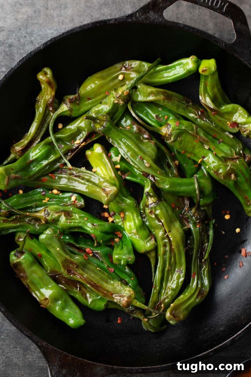 Blistered Shishito Peppers with Spicy Dipping Sauce Recipe 8 Blistered Shishito Peppers