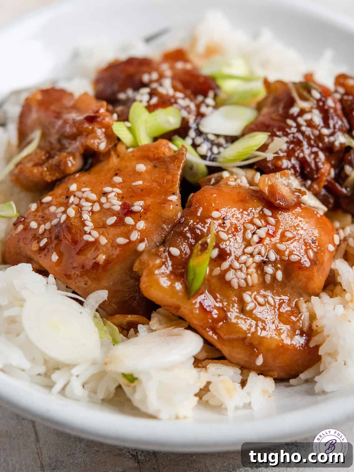 Slow Cooker Honey Sesame Chicken Recipe 2 close up honey sesame chicken thighs on cooked white rice