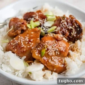 Slow Cooker Honey Sesame Chicken Recipe 3 slow cooker honey chicken thighs with sesame seeds