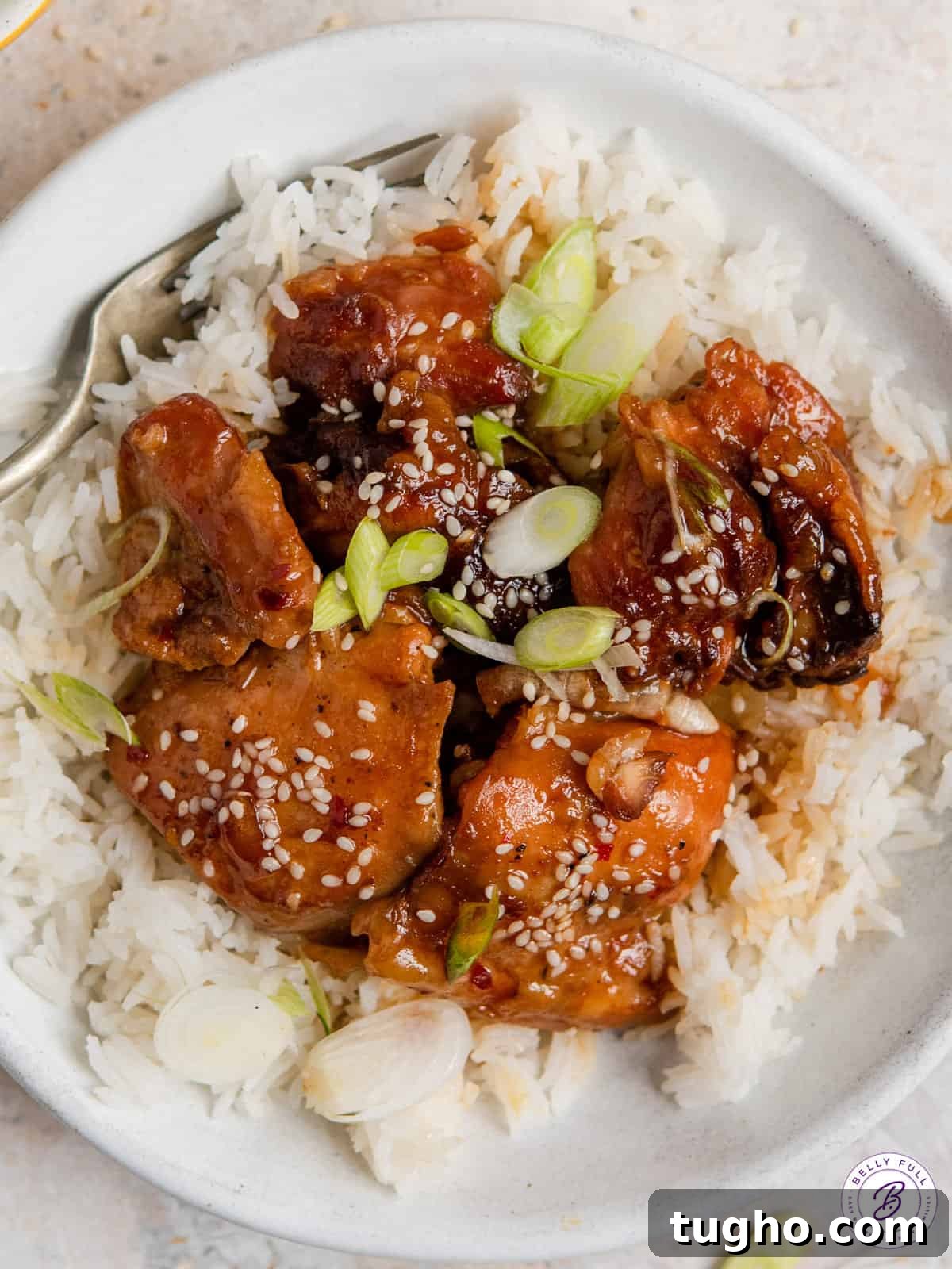 Slow Cooker Honey Sesame Chicken Recipe 4 glazed chicken thighs over white rice with scallions