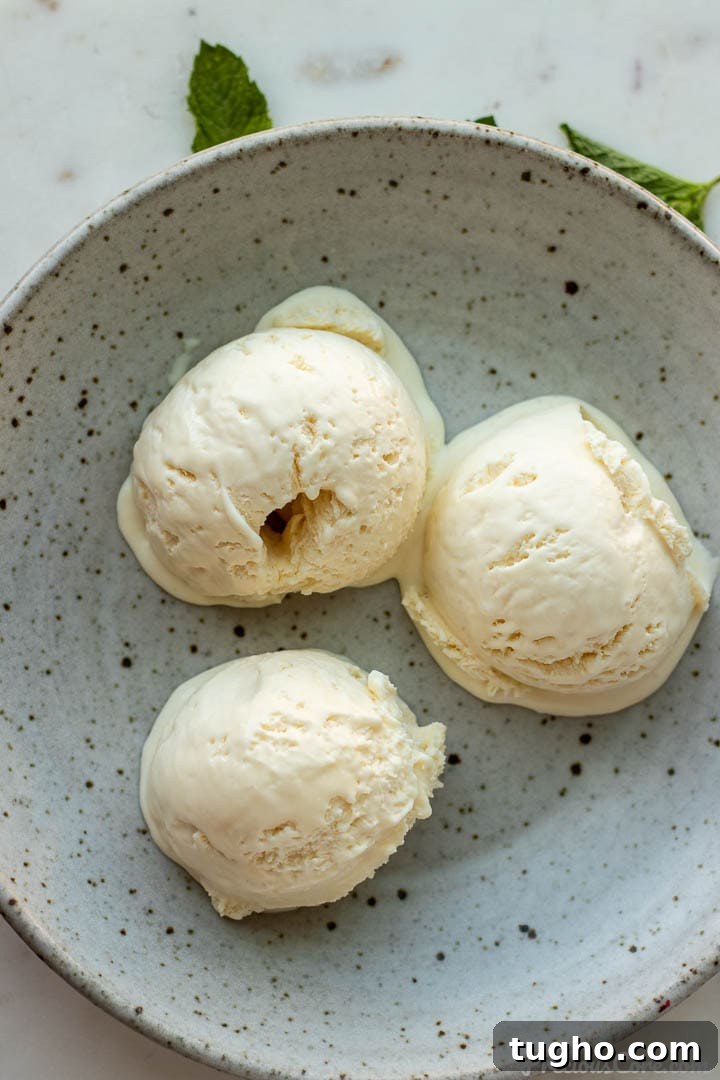 How to Make Homemade Vanilla Ice Cream (Video) 4 Three scoops of homemade vanilla ice cream in a bowl.