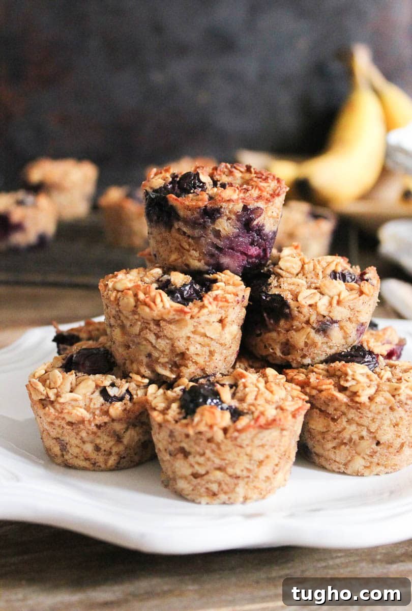 Banana Berry Baked Oatmeal Bites Recipe 2 gluten-free-blueberry-banana-baked-oatmeal-bites