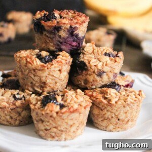 Banana Berry Baked Oatmeal Bites Recipe 20 img 12406 19