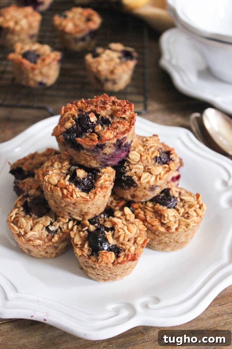 gluten-free-blueberry-banana-baked-oatmeal-bites-2