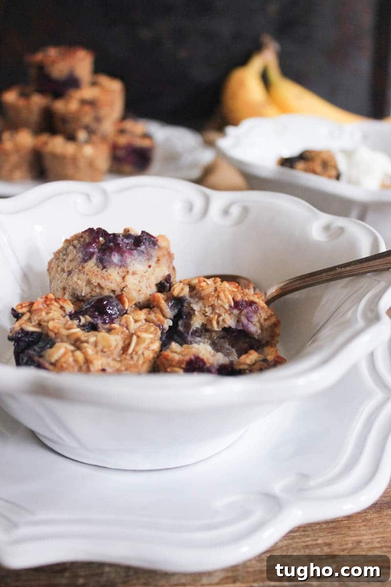 Banana Berry Baked Oatmeal Bites Recipe 21 gluten-free-blueberry-banana-baked-oatmeal-bites-9