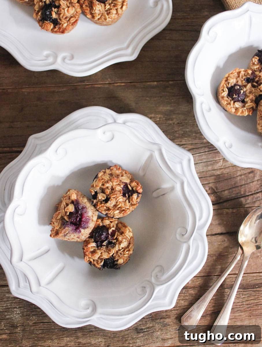 gluten-free-blueberry-banana-baked-oatmeal-bites-3