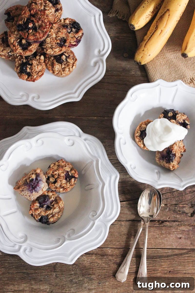 gluten-free-blueberry-banana-baked-oatmeal-bites-5