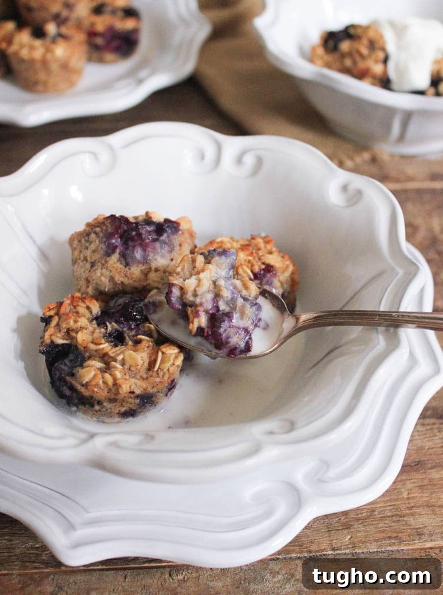 gluten-free-blueberry-banana-baked-oatmeal-bites-7