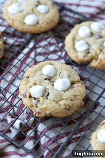Marshmallow Chocolate Chip cookies on baking rack.