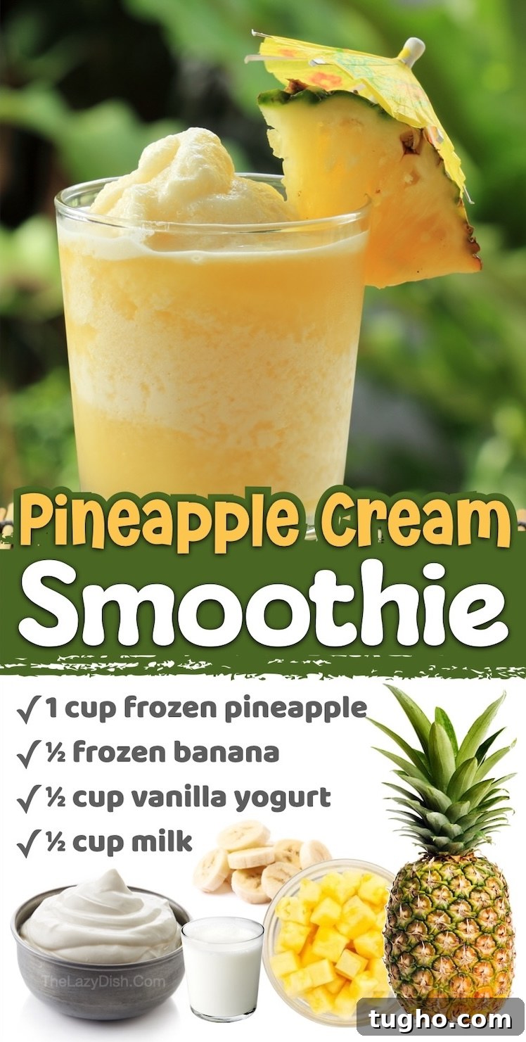 Number 9 on The List of Easy Fruit Smoothie Recipes Made With Healthy Ingredients | This creamy pineapple smoothie is kid friendly, easy to make, and only requires a few common ingredients. Customize it with the milk and yogurt of your choice! It can be enjoyed for a fast breakfast or yummy treat in the summer time. 
