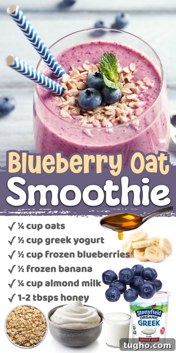 10 Smoothie Recipes That Are Delicious and Nutritious 4 Number 2 on the List of Healthy but Delicious Smoothie Recipes | Blueberry Oatmeal Smoothie made with greek yogurt and frozen banana for a quick breakfast your kids will love. Easy to make with frozen fruit, oats, and milk!