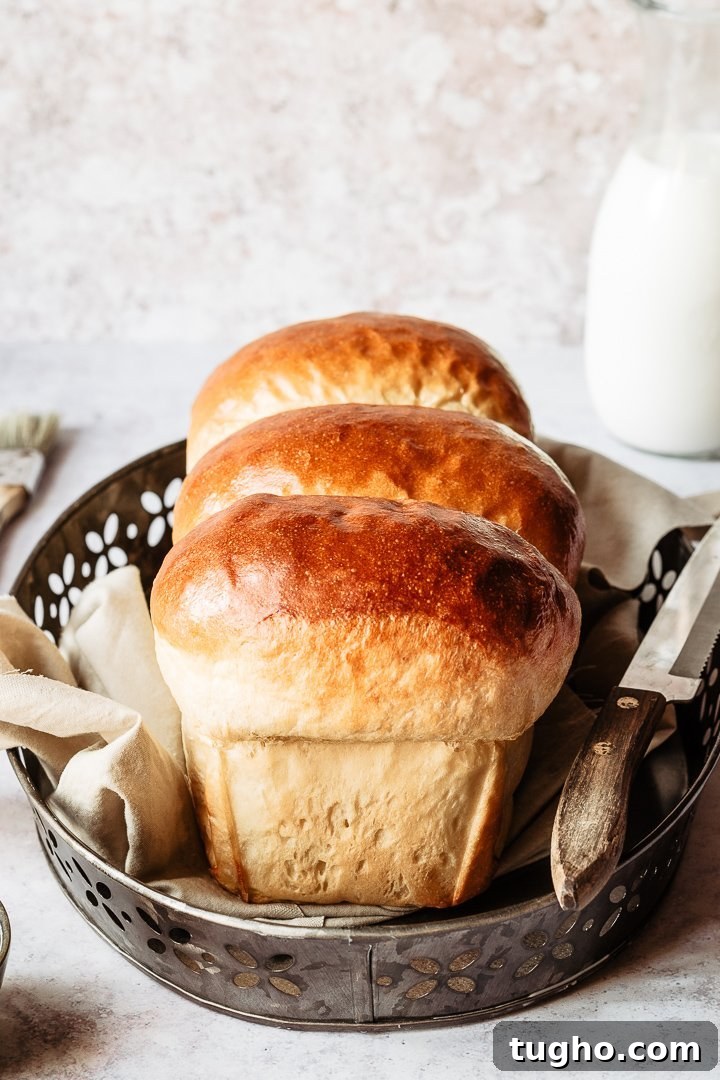 Hokkaido Milk Bread: The Softest Japanese Milk Loaf 3 Loaf sliced showing soft crumb