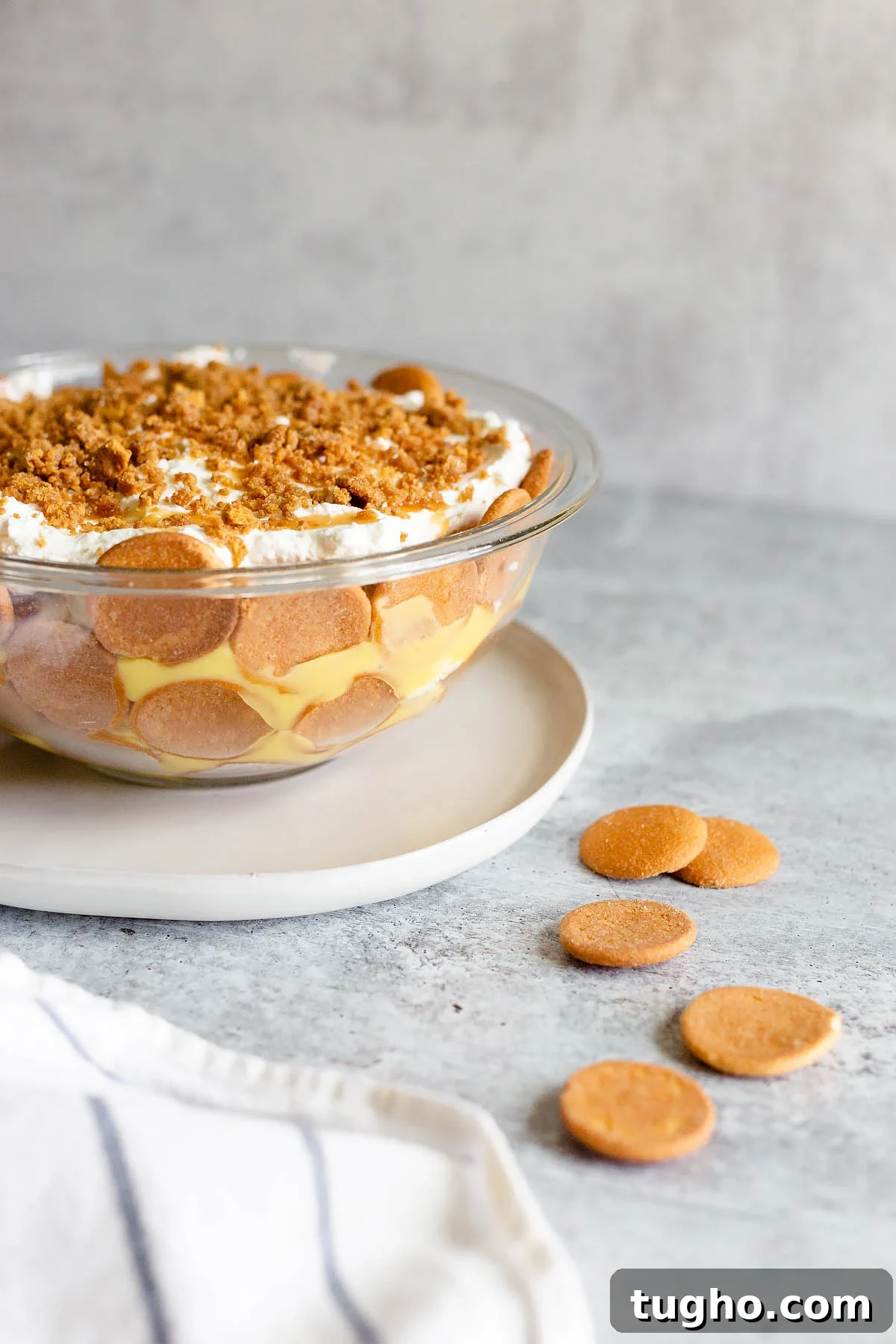 Zesty Lemon Buttermilk Cookies with Raspberry Glaze 10 banana pudding with vanilla wafers