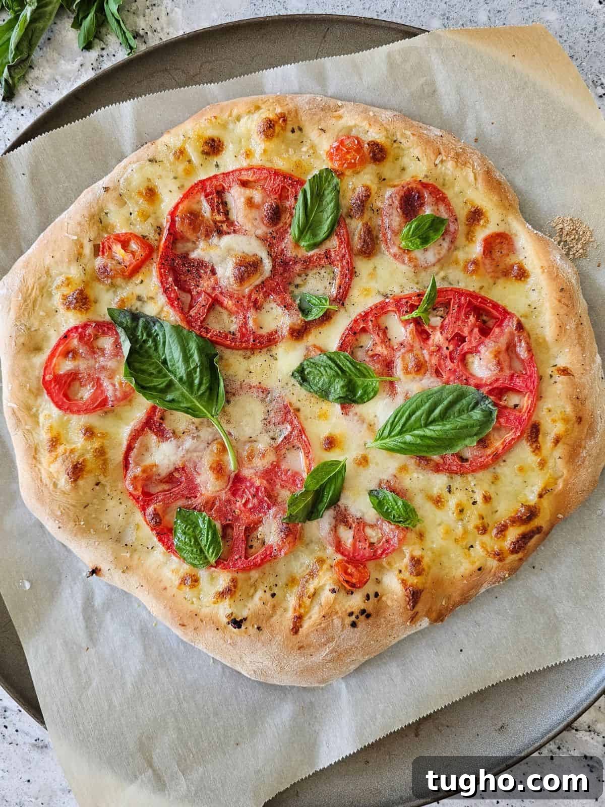 Baked tomato pizza topped with freshly grated parmesan cheese and fresh basil leaves on pizza pan topped with parchment paper.