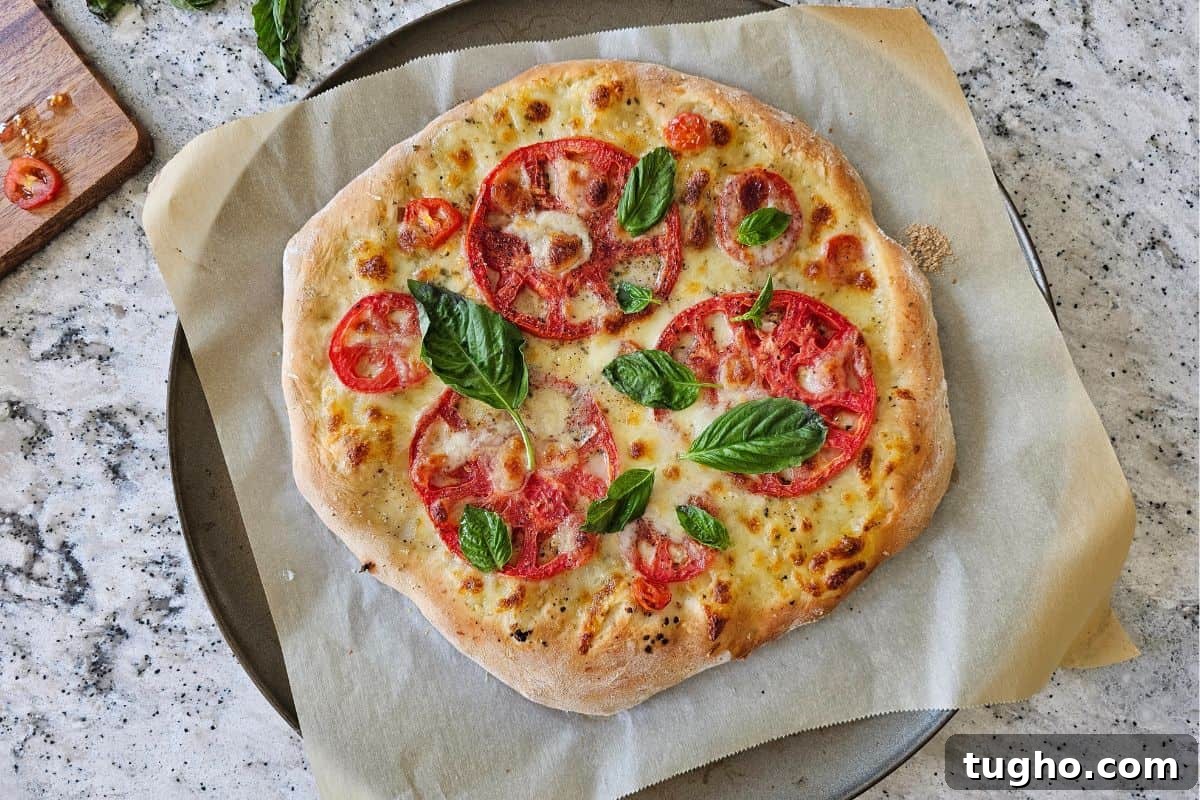 Baked tomato pizza topped with freshly grated parmesan cheese and fresh basil leaves on pizza pan topped with parchment paper.