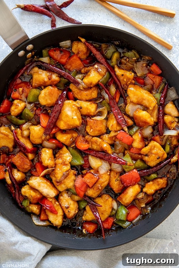 Szechuan Chicken overhead shot of Chinese Szechuan Chicken Stir-fry