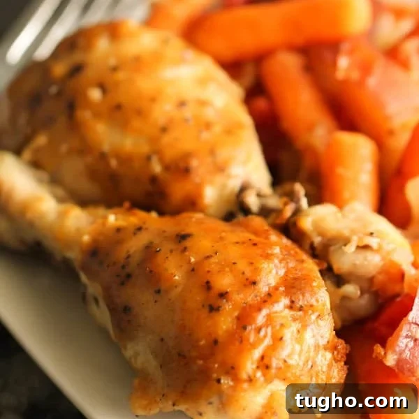 Freezer Meals for Large and Small Families 4 Slow Cooker Lemon Pepper Chicken