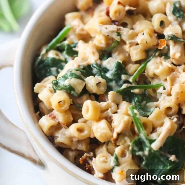 Freezer Meals for Large and Small Families 6 Instant Pot Tuscan Chicken Pasta in a bowl