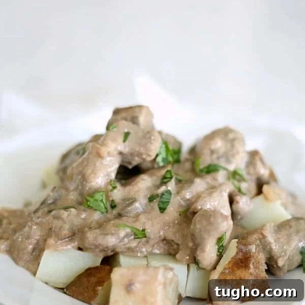 Freezer Meals for Large and Small Families 7 Slow Cooker Beef Stroganoff
