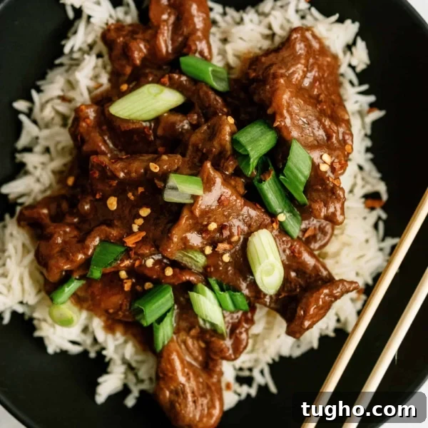 Freezer Meals for Large and Small Families 8 instant pot mongolian beef