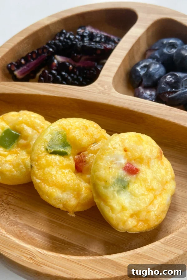 Egg bites served with blackberries and blueberries