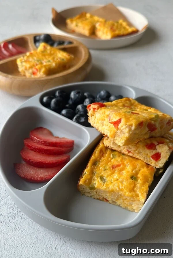 Cottage cheese egg casserole served with plum slices and blueberries.